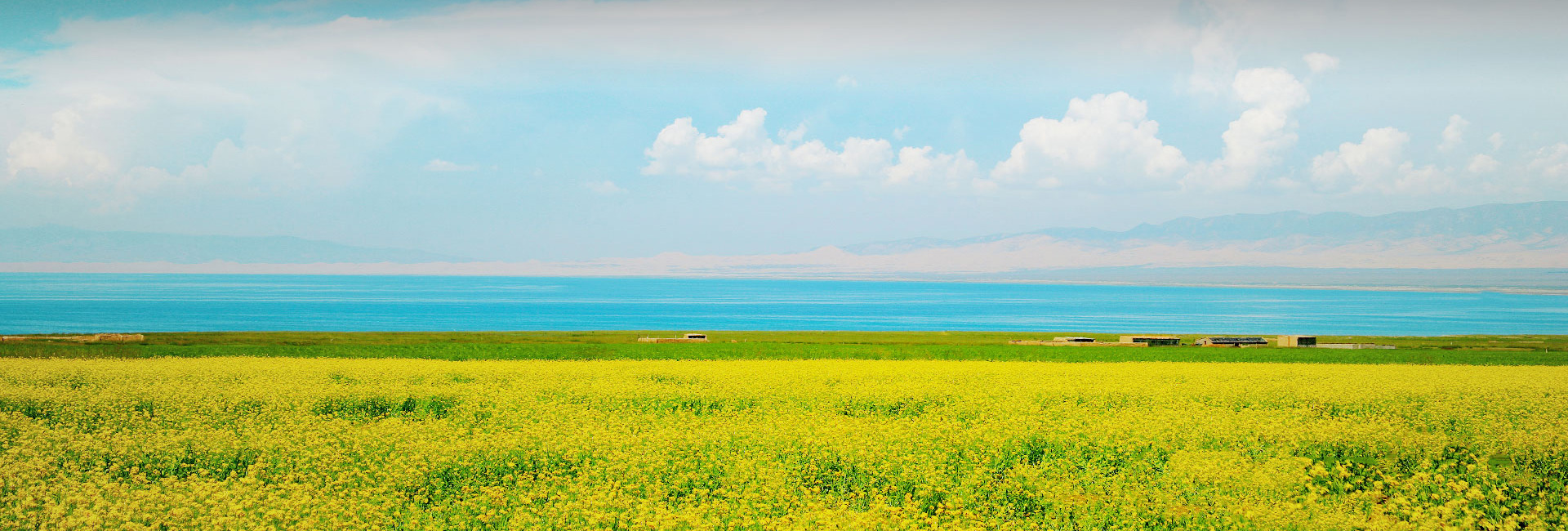 產(chǎn)品與服務(wù)