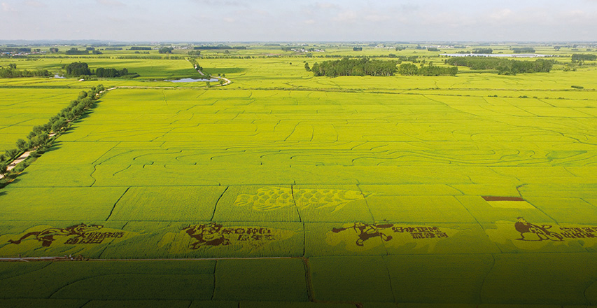 糧食業(yè)務(wù)部