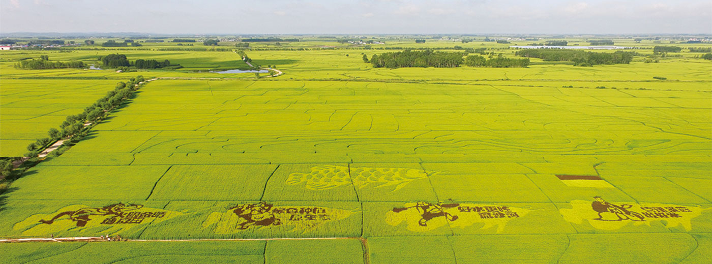 益海嘉里ESG使命
