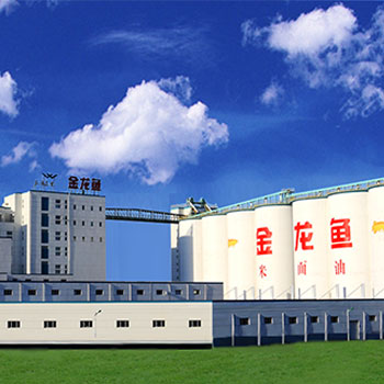 合規(guī)運(yùn)營