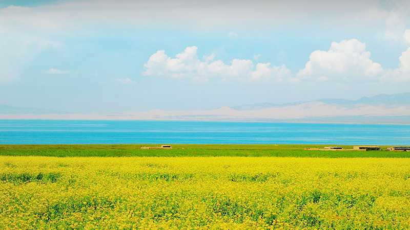 產(chǎn)品與服務(wù)